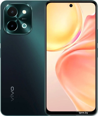 Смартфон Vivo Y28 8GB/256GB международная версия (темный изумруд) 