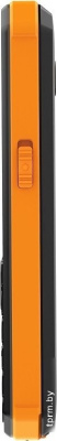 Телефон Xenium X300 (оранжевый/черный) 
