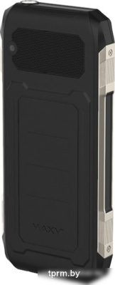 Мобильный телефон Maxvi T12 (черный) 