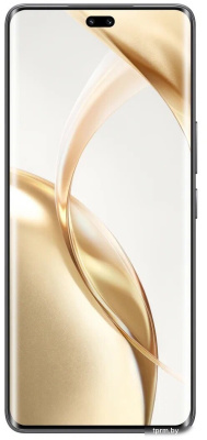 Смартфон HONOR 200 Pro 12GB/512GB международная версия (вельветовый черный) 