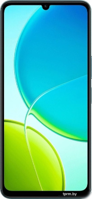 Vivo Y04 4GB/128GB международная версия (малахитовый черный) 