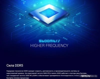 Оперативная память Silicon-Power 16ГБ DDR5 5200 МГц SP016GBLVU520F02 