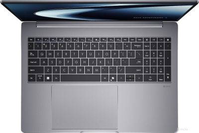 Ноутбук ASUS ExpertBook P3 P3605CVA-MB0105 Misty Grey (90NX08C1-M003R0) 