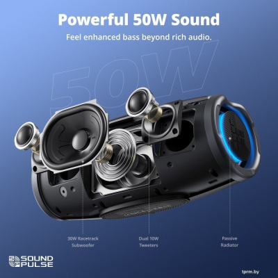 Tronsmart Mirtune S100 (черный) 