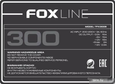 Корпус Foxline FL-1001 FL-1001-TFX300S 