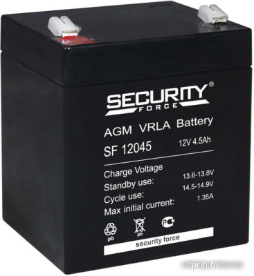 Аккумулятор для ИБП Security Force SF 12045 (12В/4.5 А·ч) 