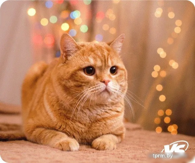 Коврик для мыши VS Cat VS_B4652 