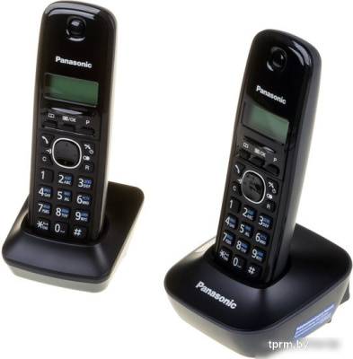 Радиотелефон Panasonic KX-TG1612RUH 