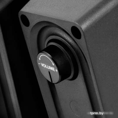 Акустика SVEN 300 