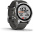 Умные часы Garmin Fenix 7S 42 мм (серебристый/графитовый) 