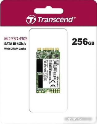 SSD Transcend 430S 256GB TS256GMTS430S 