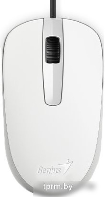 Мышь Genius DX-120 (белый) 