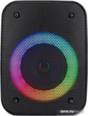 Беспроводная колонка Hyundai H-PS1005 