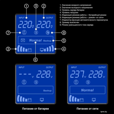 Источник бесперебойного питания ExeGate SpecialPro Smart LLB-2000.LCD.AVR.2SH.RJ.USB EX292632RUS 