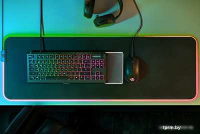 Клавиатура SteelSeries Apex 3 TKL 