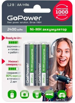 Аккумулятор GoPower 00-00018320 