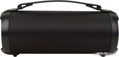 Беспроводная колонка Digma D-PS1520 (черный) 
