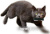 USB Flash Transcend JetFlash 780 32 Гб (TS32GJF780) USB Flash Transcend JetFlash 780 32 Гб (TS32GJF780)
