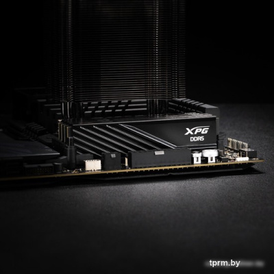 ADATA XPG Lancer Blade 16ГБ DDR5 5600 МГц AX5U5600C4616G-SLABBK 