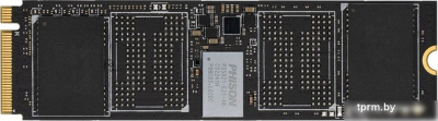 Digma Meta P21 1TB DGSM4001TP21T 