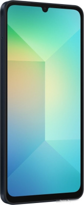 Смартфон Samsung Galaxy A06 SM-A065F 6GB/128GB (черный) 