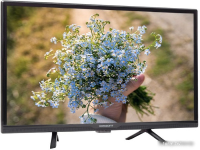 Телевизор Horizont 24LE7011D 