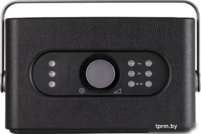 Беспроводная колонка Radiotehnika Impulse P1 