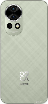 Телефон Huawei nova 13 BLK-LX9 12GB/512GB (дымчатый зеленый) 