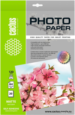 CACTUS матовая A4 120г/м2 20 л CS-MSA412020 