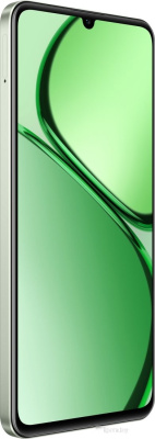 Смартфон Realme C63 8GB/256GB RMX3939 международная версия (нефритовый зеленый) 