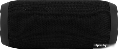 Беспроводная колонка Digma D-PS1510 