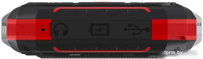 Кнопочный телефон Maxvi T101 (красный) 