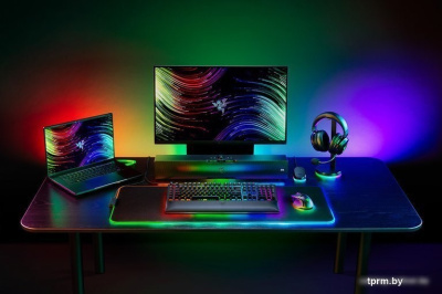 Razer BlackWidow V4 Pro (Razer Yellow) 