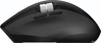 Мышь Acer OMR406 
