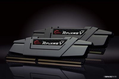 Оперативная память G.Skill Ripjaws V 2x32GB DDR4 PC4-32000 F4-4000C18D-64GVK 