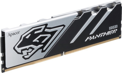 Оперативная память Apacer Panther 16ГБ DDR5 6200 МГц AH5U16G62C5327BAA-1 