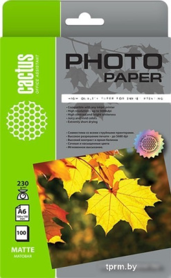 Фотобумага CACTUS Матовая 10x15 230 г/м2 100 листов CS-MA6230100 