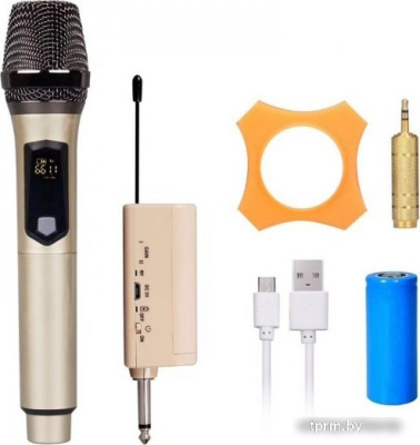 Радиосистема Biema U-801 