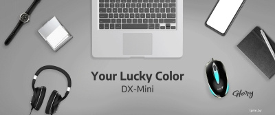 Мышь Genius DX-Mini (черный) 