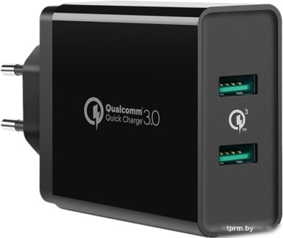 Сетевое зарядное Ugreen CD161 10216 (черный) 