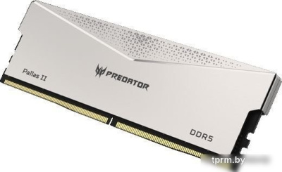 Оперативная память Acer Predator Pallas II 2x16ГБ DDR5 6400 МГц BL.9BWWR.532 