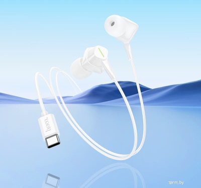 Наушники Hoco M113 USB Type-C (белый) 