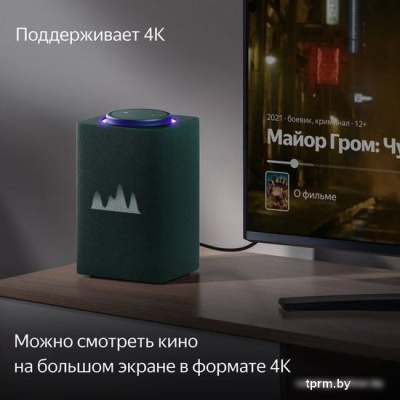 Умная колонка Яндекс Станция Макс (с хабом умного дома Zigbee, зеленый) 