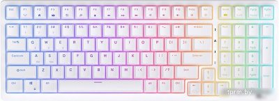 Клавиатура Royal Kludge RK98 RGB (белый, RK Brown) 
