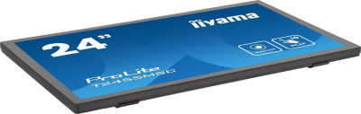 Портативный монитор Iiyama ProLite T2455MSC-B1 