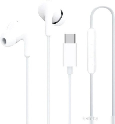 Наушники Xiaomi Type-C Earphones M2413E1 (белый, международная версия) 