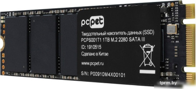 SSD PC Pet 1TB PCPS001T1 