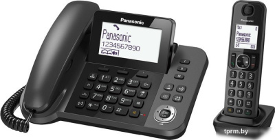 Panasonic KX-TGF310RUM 