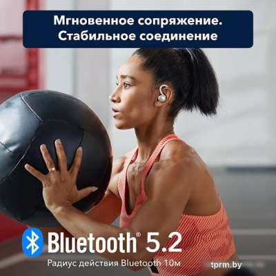 Наушники Anker SoundCore Sport X10 (белый) 