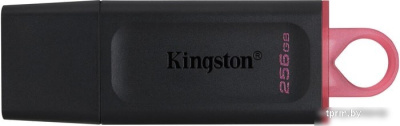 USB Flash Kingston Exodia 256GB 
